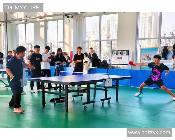 赵秀英亲自传授乒乓球技巧与心得体会助你提升球技的独家秘籍