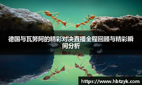 bsports官网